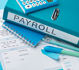 Payroll Processing